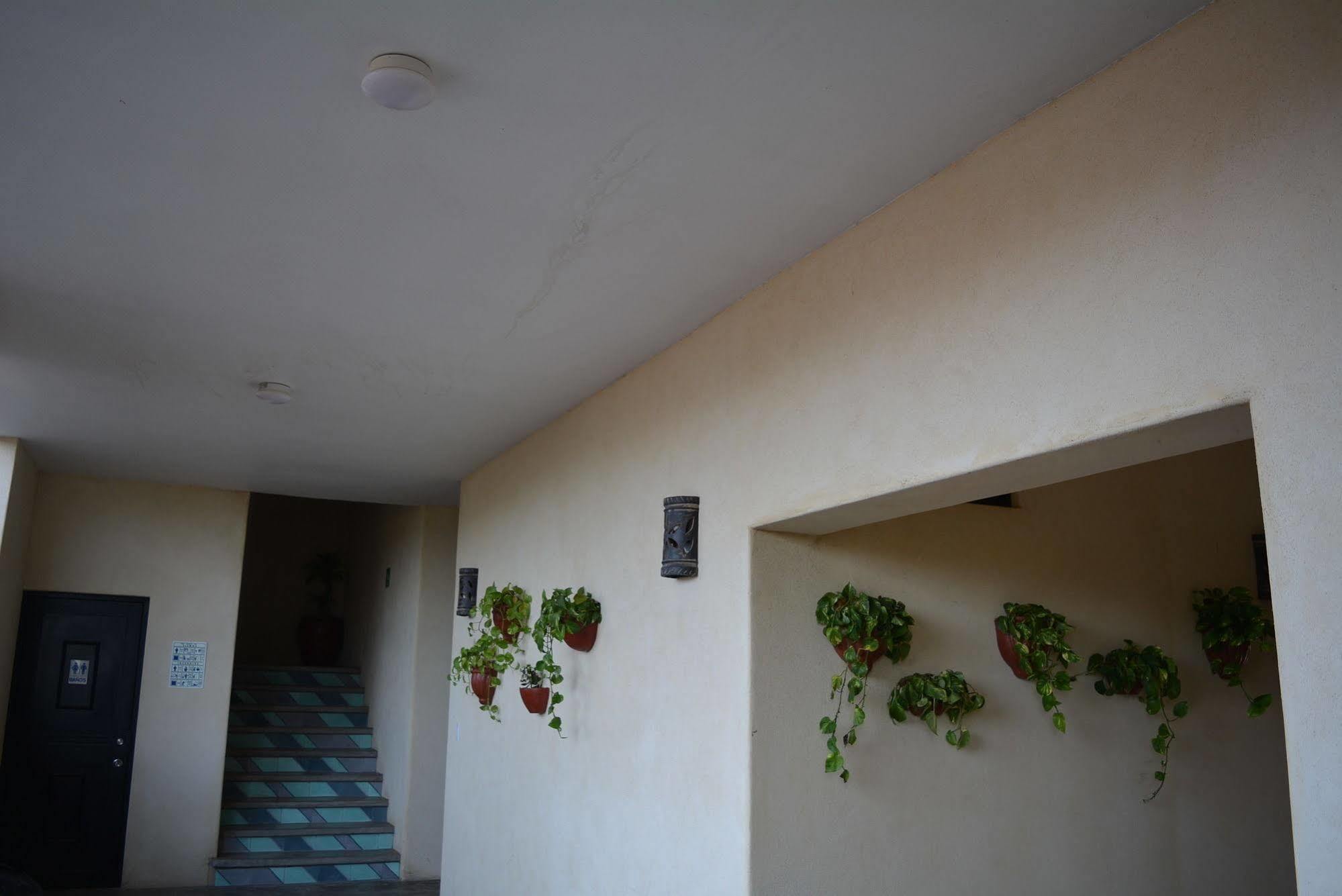 Tortugas Cerritos Beachfront Hotel El Pescadero  Exterior foto